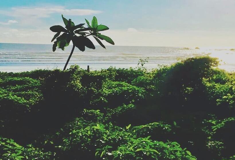 تختخواب و صبحانه Yaxa Hotel Nosara