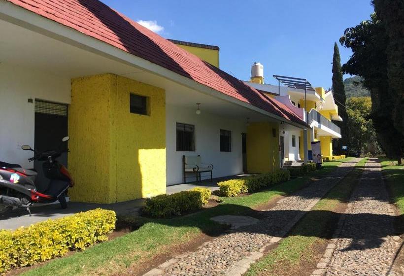 فندق La Quinta Sm