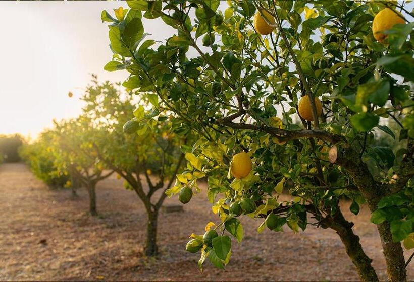 مبيت وإفطار La Farm Baleares