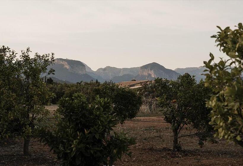 مبيت وإفطار La Farm Baleares
