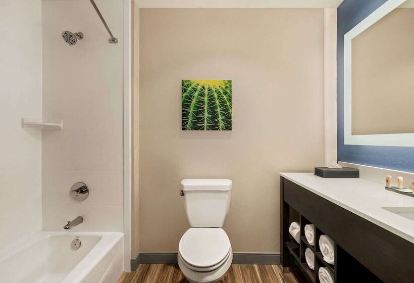 Отель Laquinta Inn & Suites By Wyndham San Bernardino