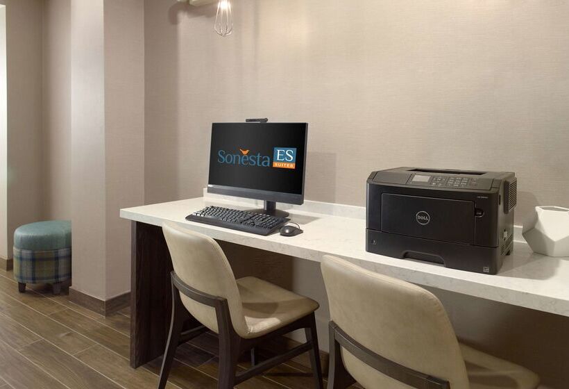 Fotos del hotel Sonesta Es Suites Lake Buena Vista:  14