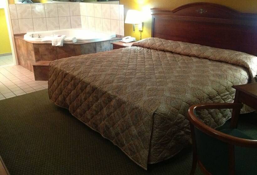 مُتل Colonial Inn & Suites /airport/graceland