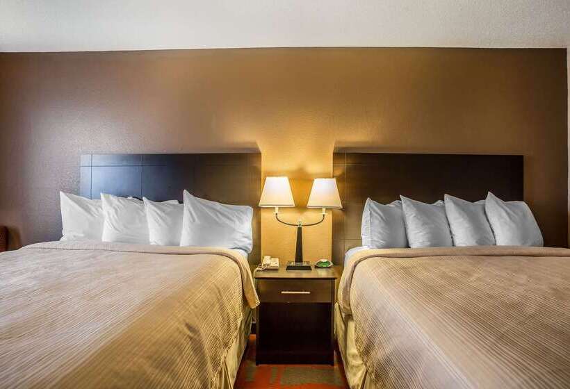 汽车旅馆  Quality Inn & Suites