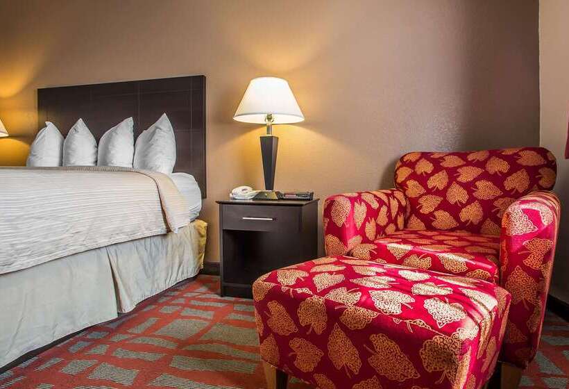 汽车旅馆  Quality Inn & Suites