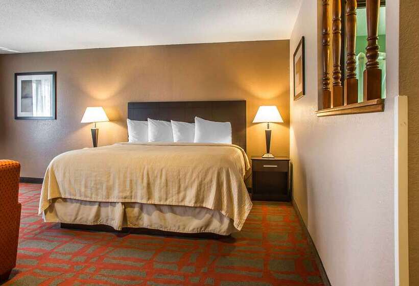汽车旅馆  Quality Inn & Suites
