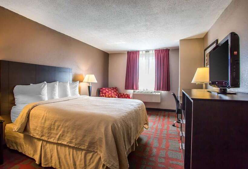 汽车旅馆  Quality Inn & Suites