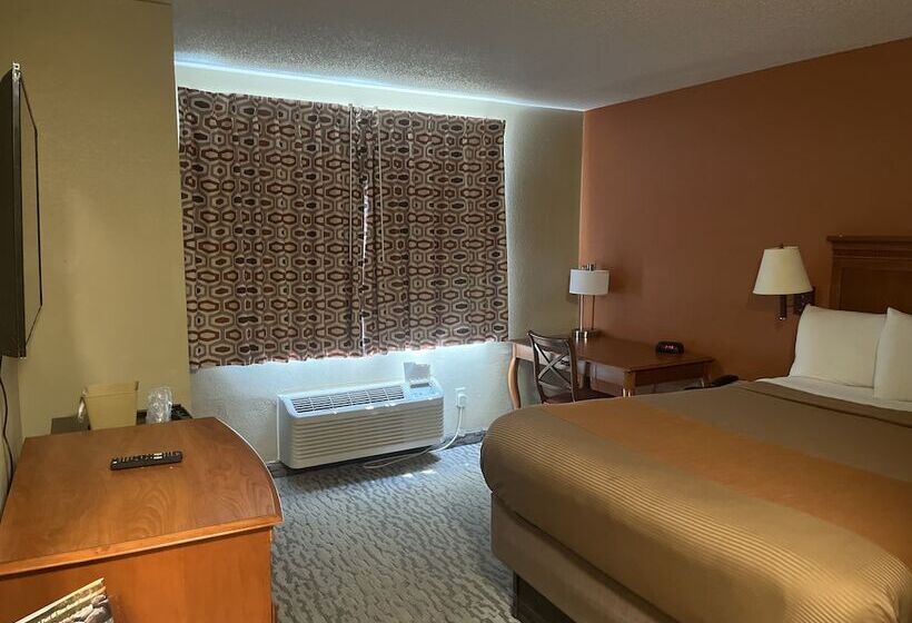 汽车旅馆 Regency Inn & Suites