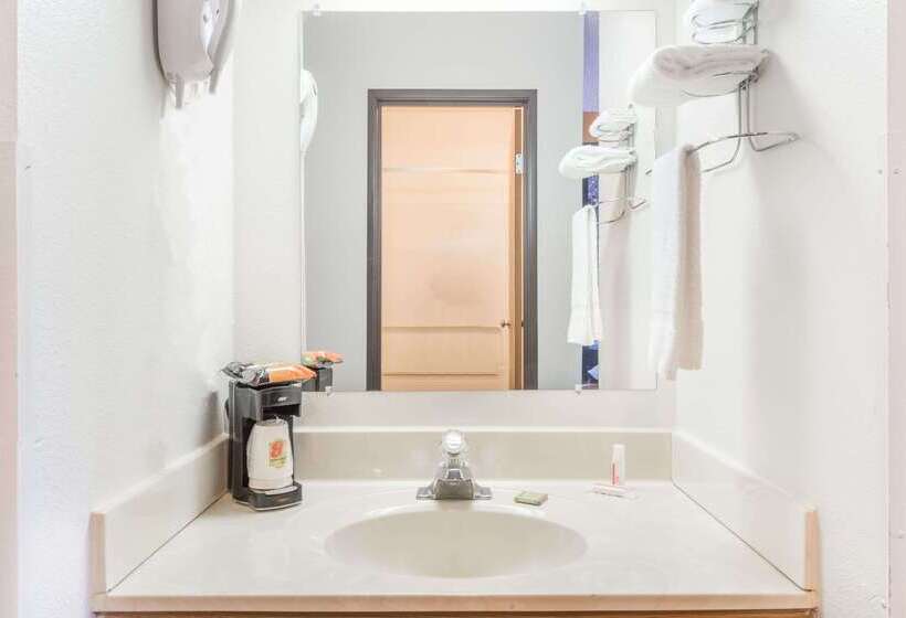 汽车旅馆  Super 8 By Wyndham Front Royal