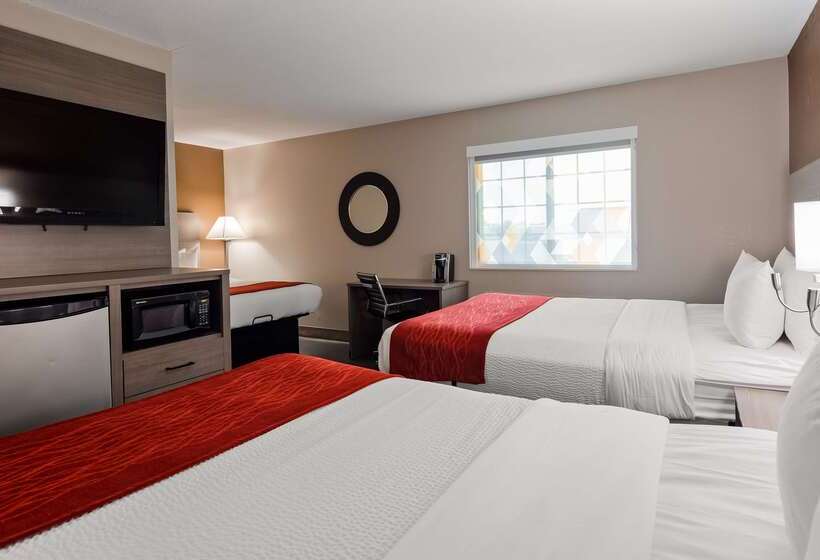 汽车旅馆  Surestay Plus Hotel By Best Western Kearney