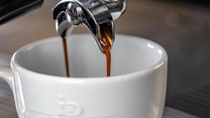 پانسیون Cavalierhaus Branitz