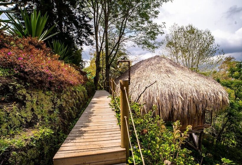 هتل Kawa Mountain Retreat