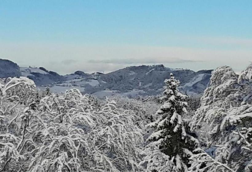 تختخواب و صبحانه Gästezimmer Steiner