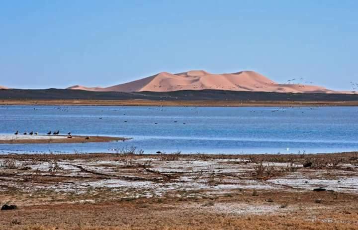 پانسیون Maison Bedouin Merzouga