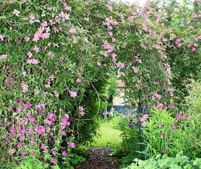 The Vine B & B