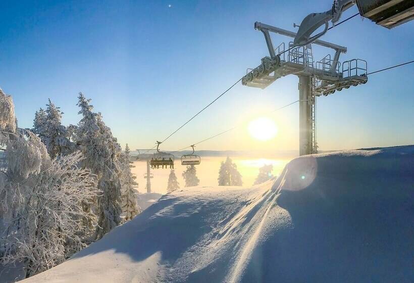 Bergshotellet