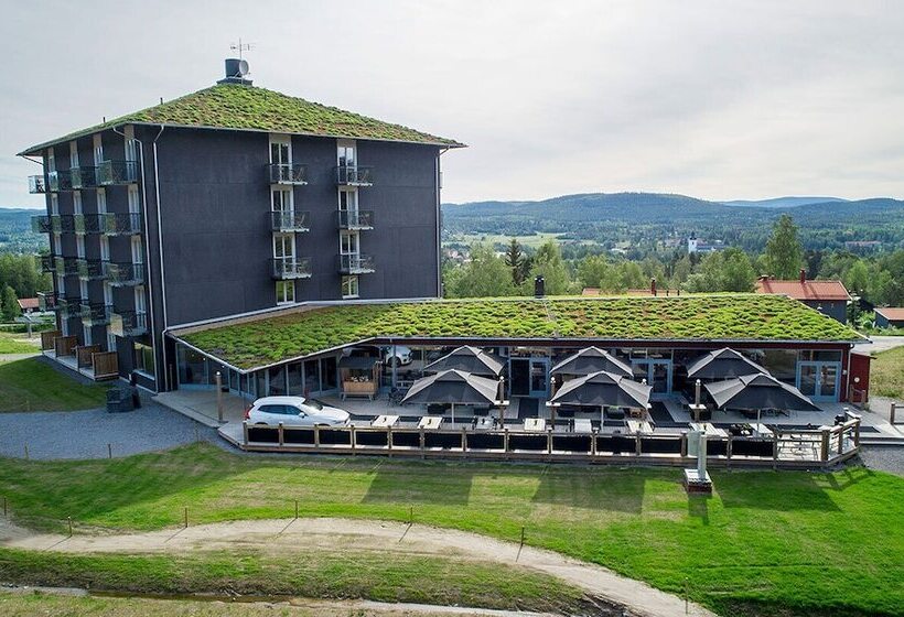 Bergshotellet