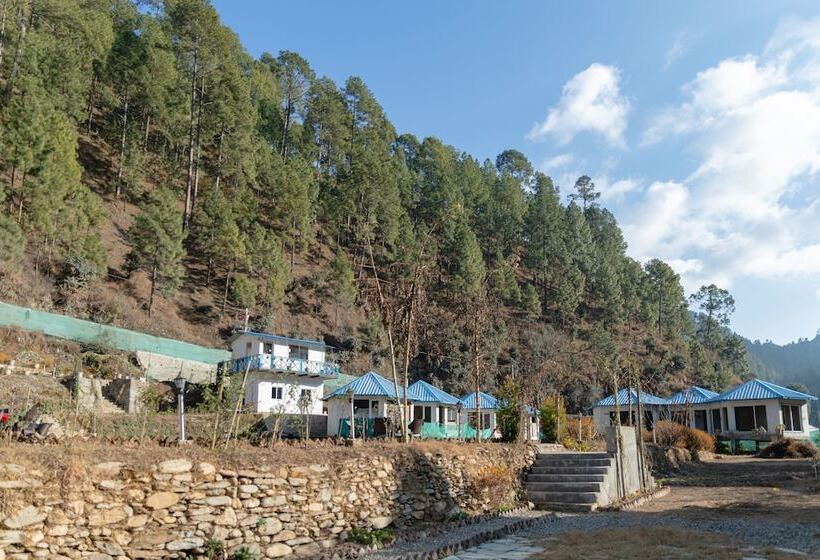 هتل Blossom Bliss Resort