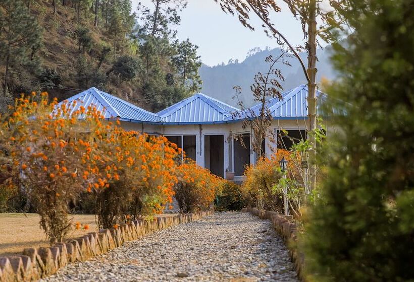 هتل Blossom Bliss Resort