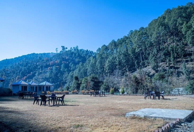 هتل Blossom Bliss Resort