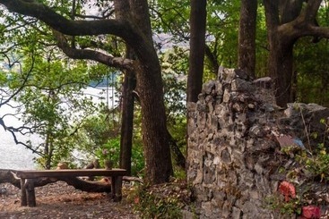 پانسیون The Camphor Tree Pura Stays