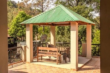 پانسیون The Camphor Tree Pura Stays