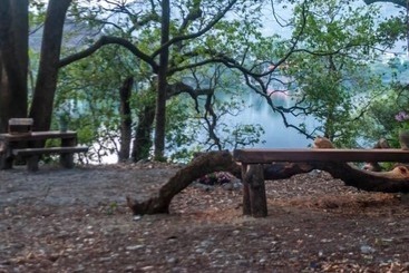 پانسیون The Camphor Tree Pura Stays