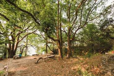 پانسیون The Camphor Tree Pura Stays