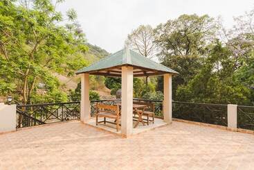 پانسیون The Camphor Tree Pura Stays