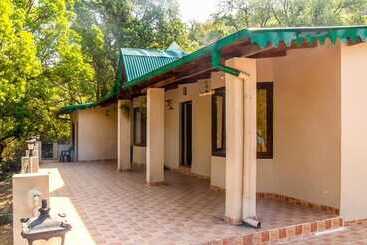 پانسیون The Camphor Tree Pura Stays