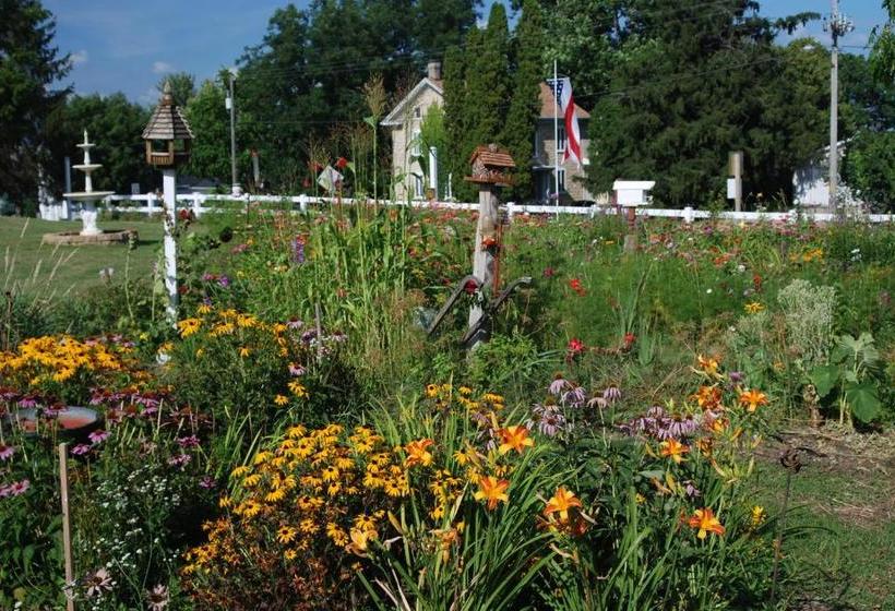 Bed and Breakfast The Black Horse Inn