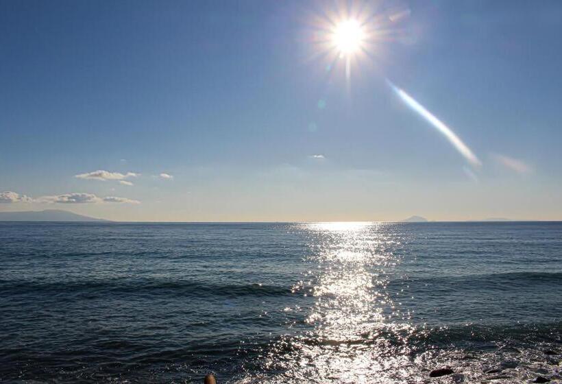 Рёкан &resort Izu No Ne