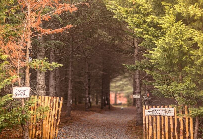 Отель Domaine De La Vitarelle Glamping