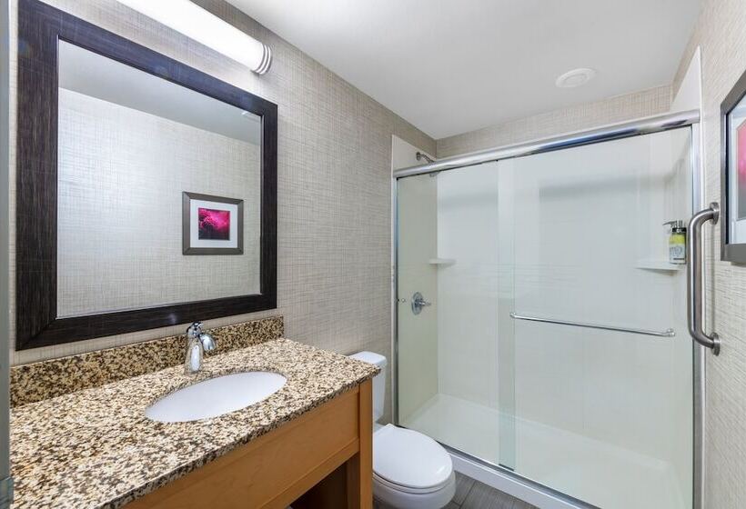 酒店 Holiday Inn Express & Suites Wheat Ridge Denver West, An Ihg