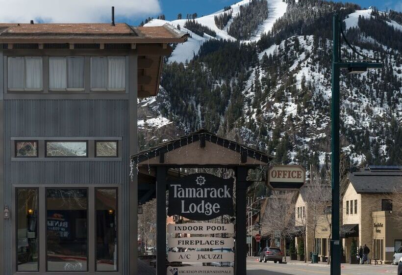 Hotel Tamarack Lodge