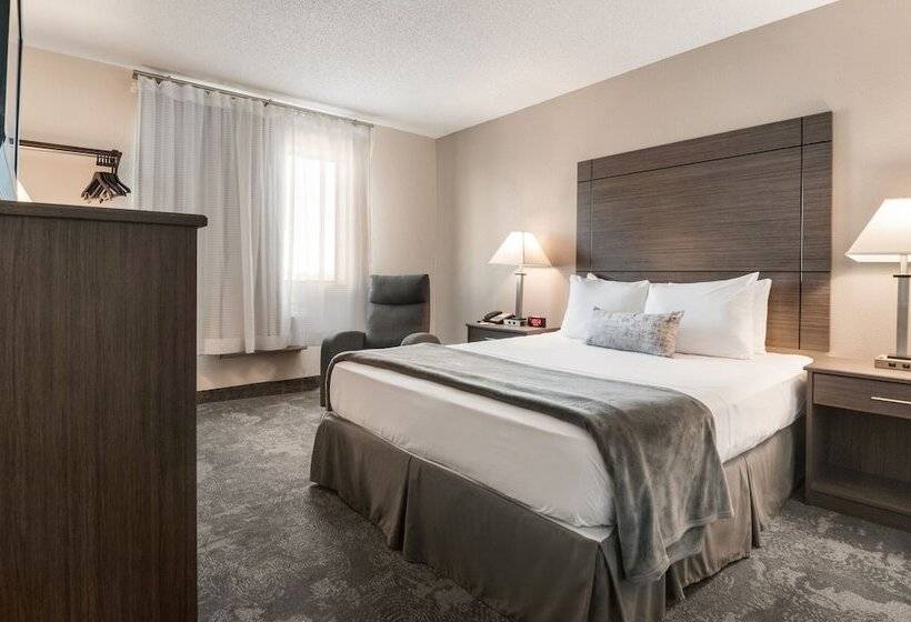 مُتل American Inn & Suites Metro Airport