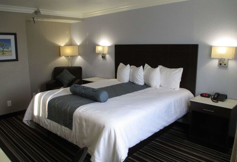 Мотель Best Western Plus Diamond Valley Inn