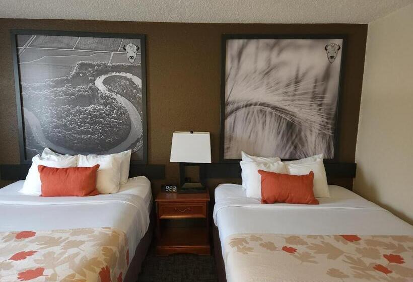 모텔 Bison Plains Lodge