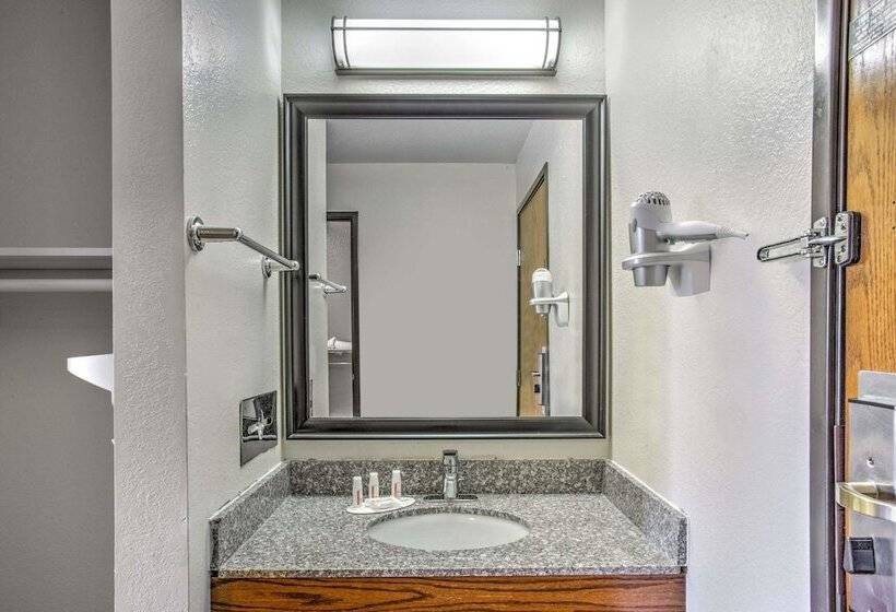汽车旅馆  Days Inn By Wyndham Le Roy/bloomington Southeast