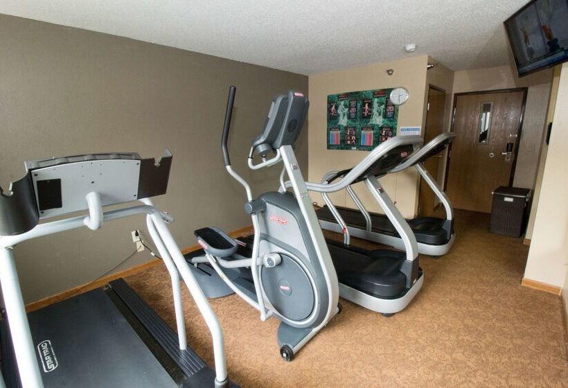 모텔 Super 8 By Wyndham Chicago O'hare Airport