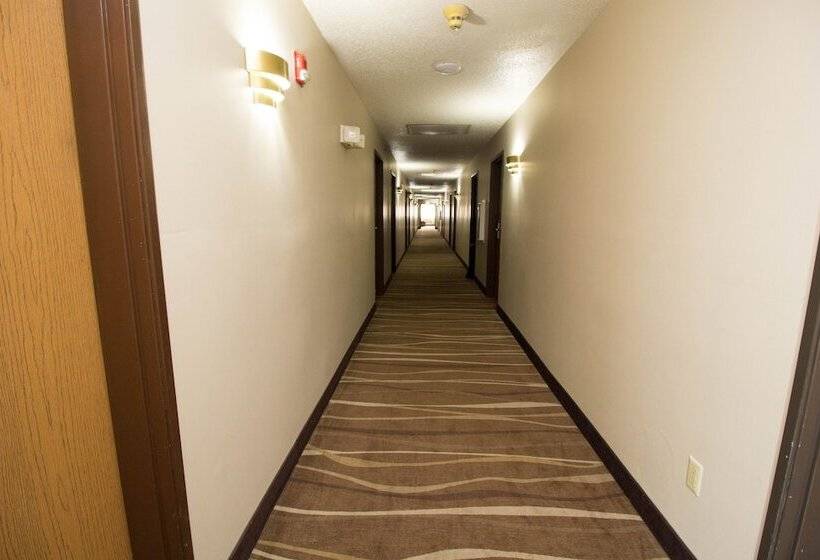 모텔 Super 8 By Wyndham Chicago O'hare Airport