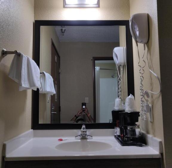 汽车旅馆  Super 8 By Wyndham Dekalb Il
