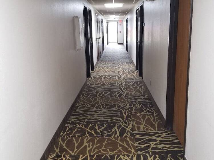 汽车旅馆  Super 8 By Wyndham Keokuk