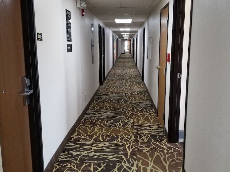 汽车旅馆  Super 8 By Wyndham Keokuk