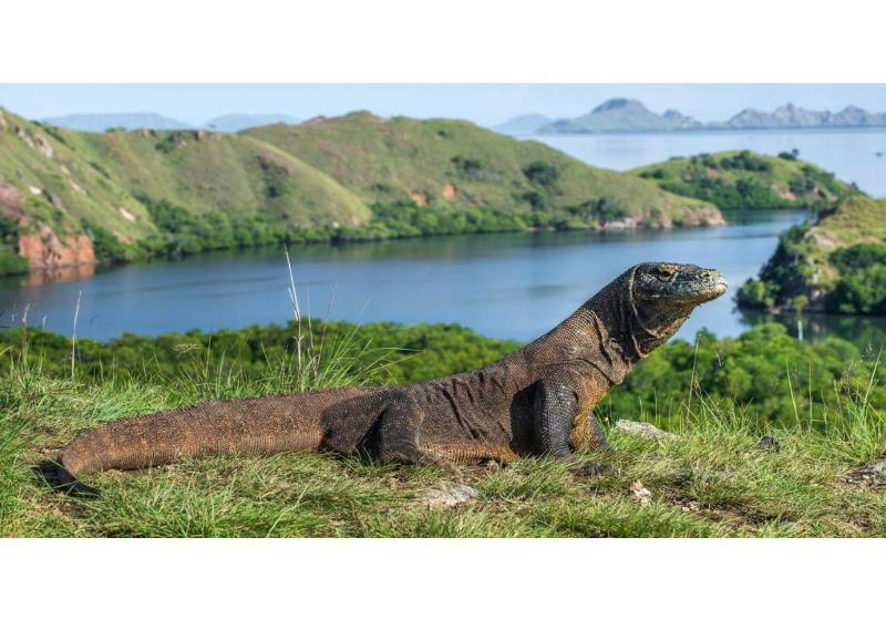 هتل Meruorah Komodo Labuan Bajo
