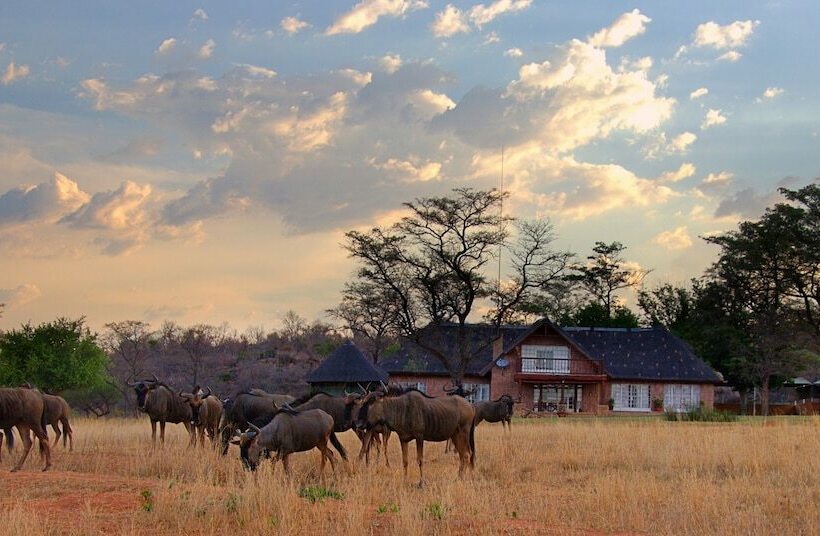 酒店 Kudumela Bush Lodge