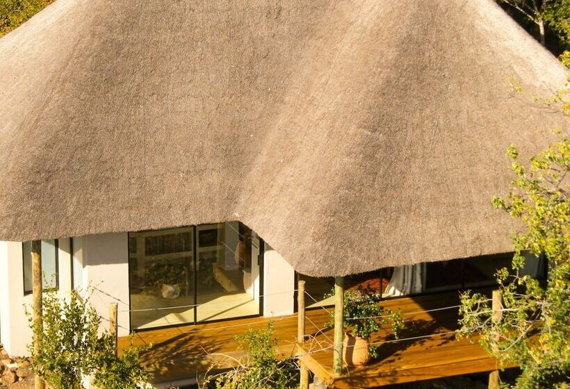 فندق The Wild Blue Lodge Safari & Spa