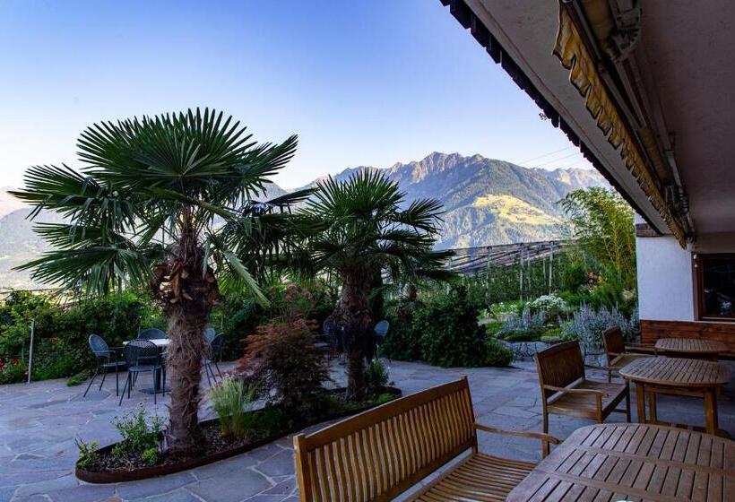 Отель Pension Obertaberhof