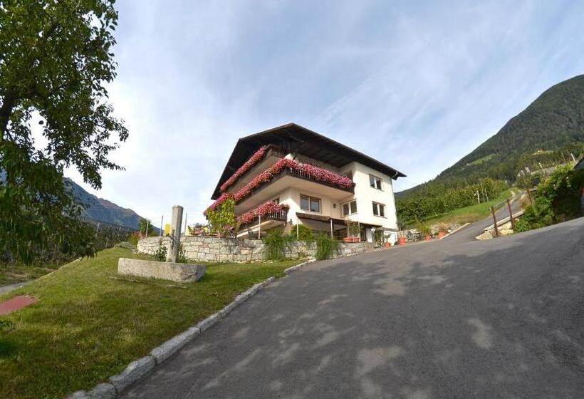 Отель Pension Obertaberhof