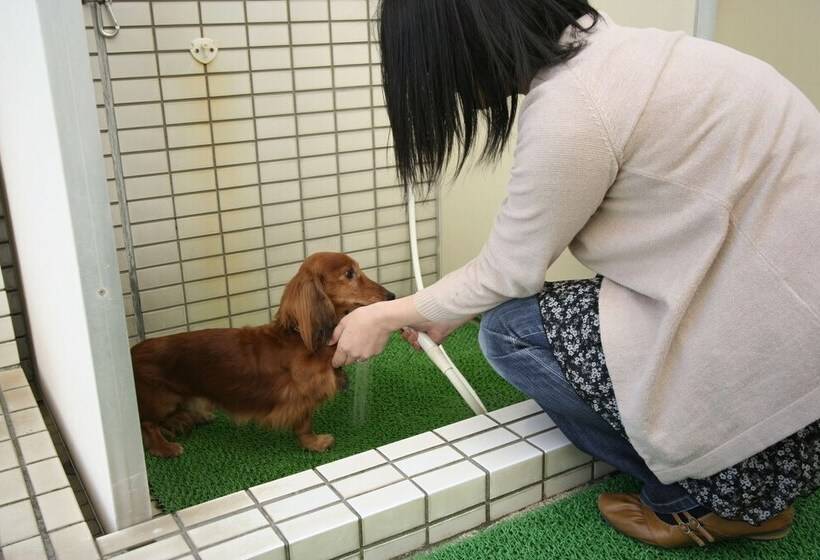 ホテル Shibugoe Onjuku